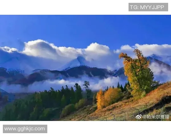 央视评论新疆足球明星展现拼搏精神与家乡情怀的双重魅力 央视评论新疆足球明星展现拼搏精神与家乡情怀的双重魅力