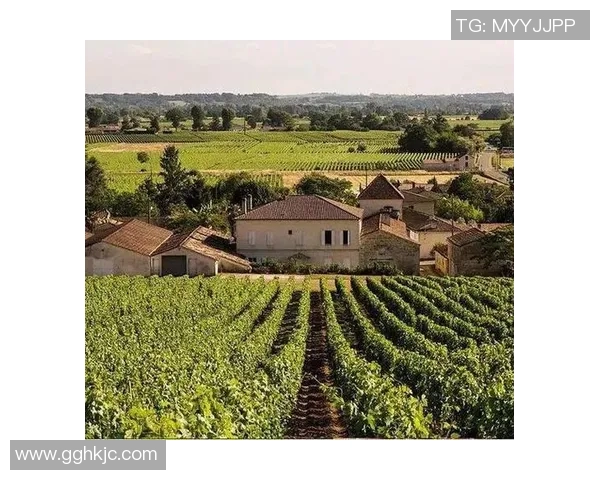 娱乐明星与足球明星的交集揭秘谁是最受欢迎的双栖明星